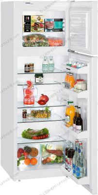 Холодильник Liebherr CT 2841