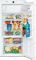 Холодильник Liebherr IKB 2214