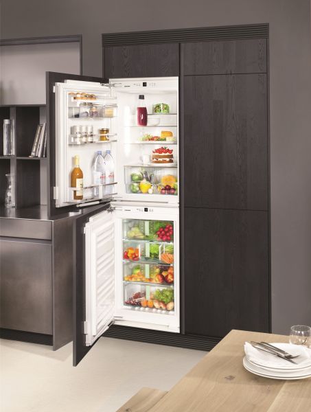 Холодильник Liebherr IB 1650